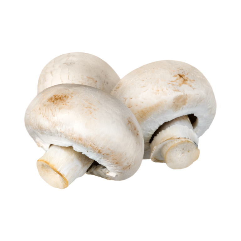 Champignons