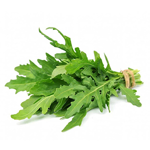 Rucola